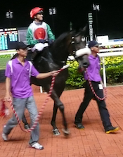 Hammer Down wins Given Vision at Kranji<br>Photo by Whistlejacket